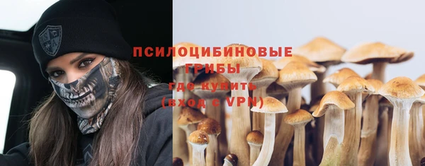 бошки Балахна